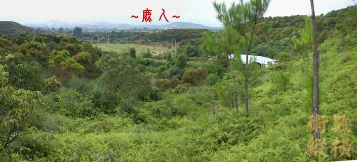 7複製 看過峽與虎砂.JPG