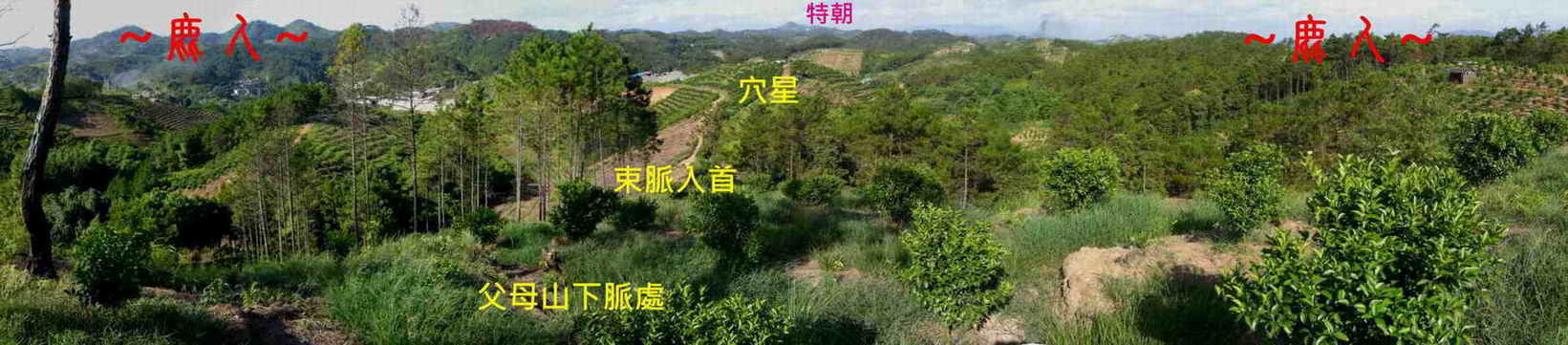 4在父母山看穴星與龍虎砂堂局全景.JPG