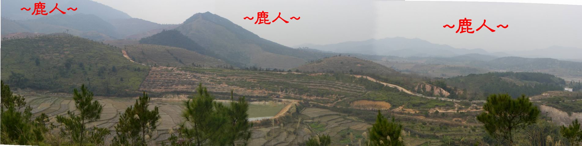 4在父母山頂看左帳全景.JPG