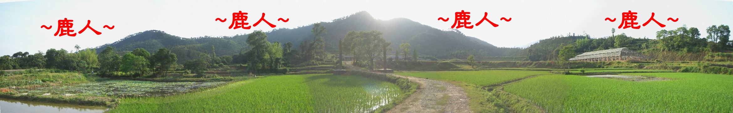 4朱權墓地 由墓道看朱權墓全景.JPG