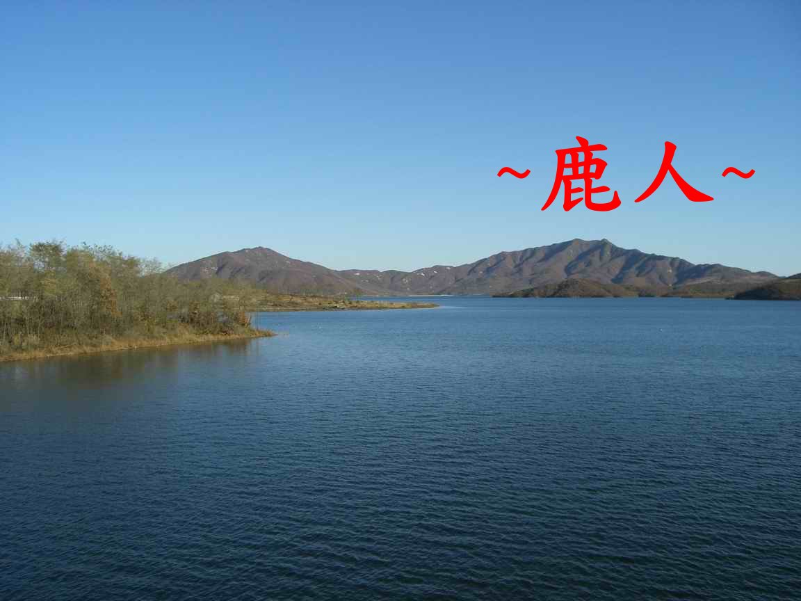 4延途看.JPG