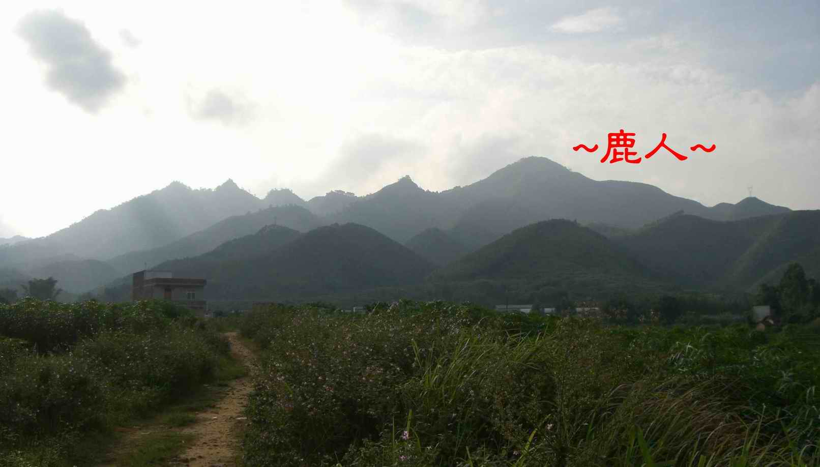 4延途看山巒2.JPG