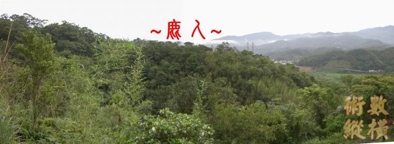 4複製 看龍砂照.jpg