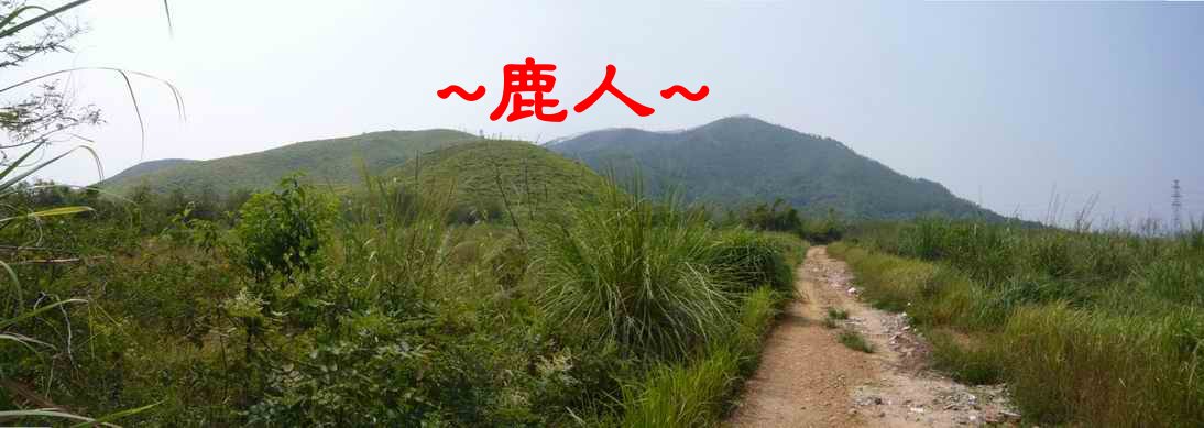 4遠側看父母山與穴山.JPG