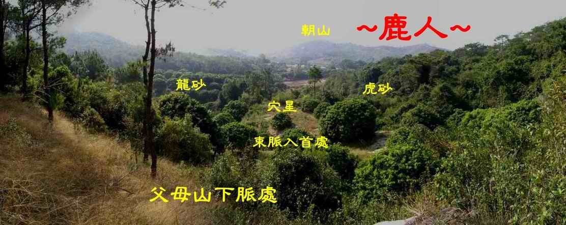 4靚穴_在父母山腰看下脈穴場與堂局照.JPG
