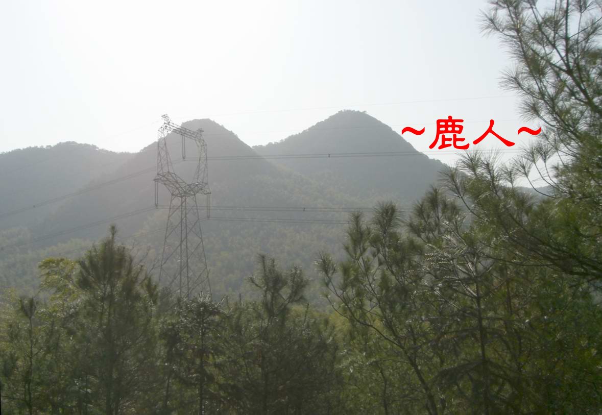 5父母山前一段以木星落脈.JPG