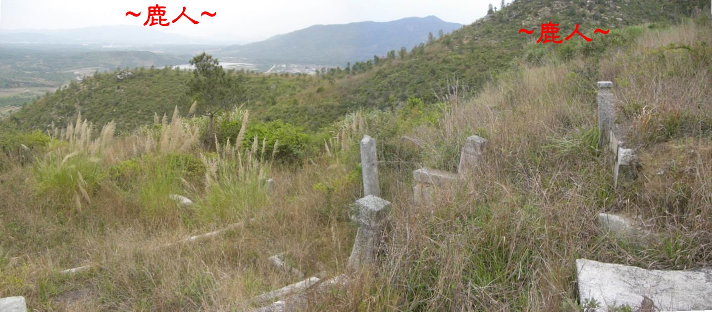 5在穴場看虎砂照.JPG