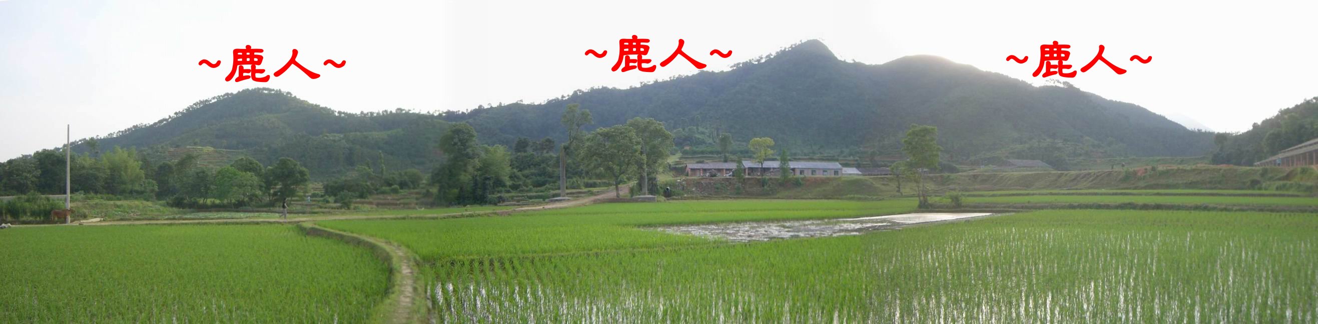 5朱權墓地 在龍砂(墓朝處)側看朱權墓地全景.JPG
