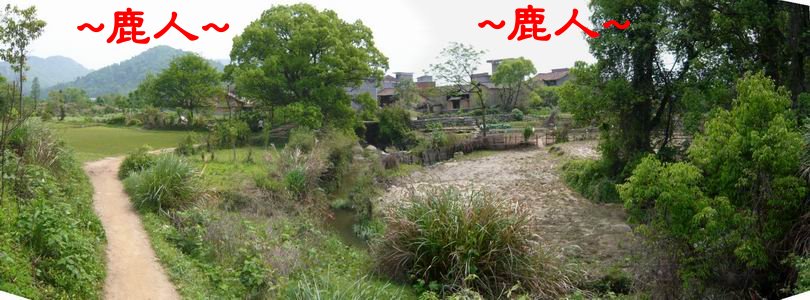 5走入鄉間小路.JPG