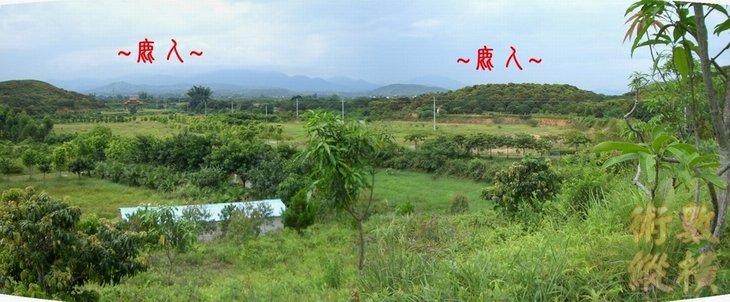 5複製 穴場看虎砂與水口.JPG