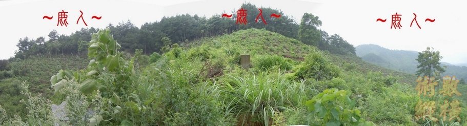 5複製 近看穴場與古墓照.JPG