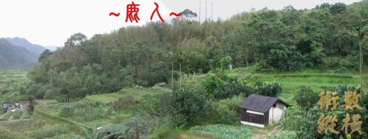 5複製 看虎砂照.jpg