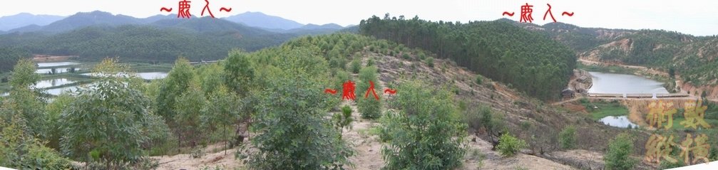 5複製 看祖山與來龍入首全景.JPG