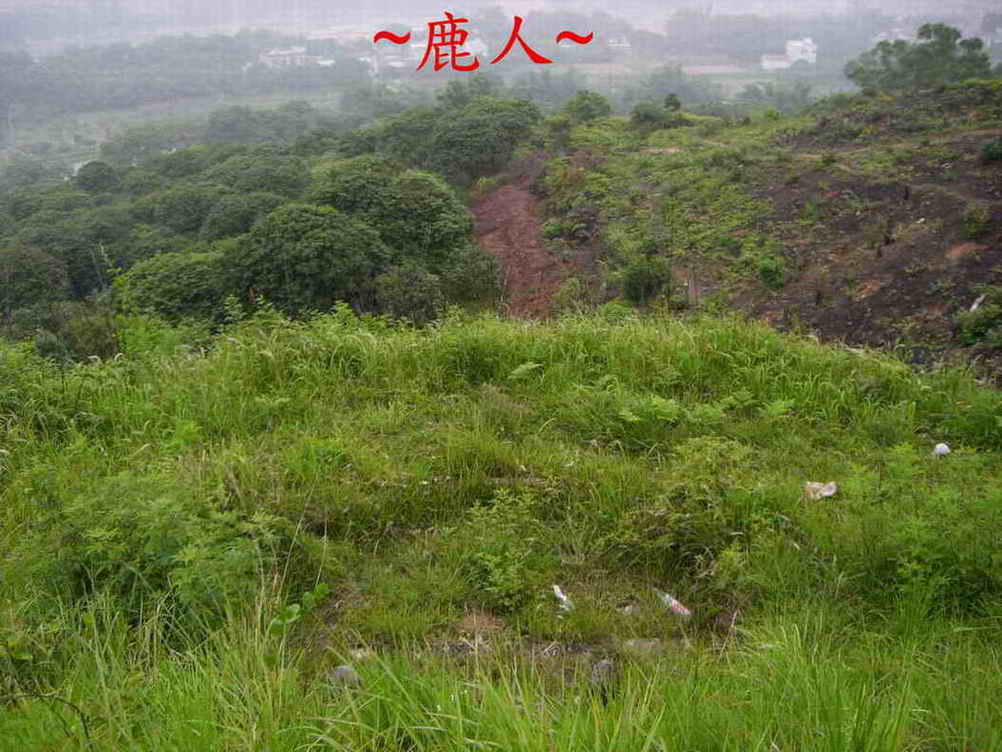 686_4看唇.JPG