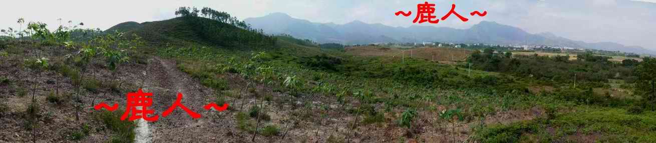 6由虎砂側看來龍與穴山照.JPG