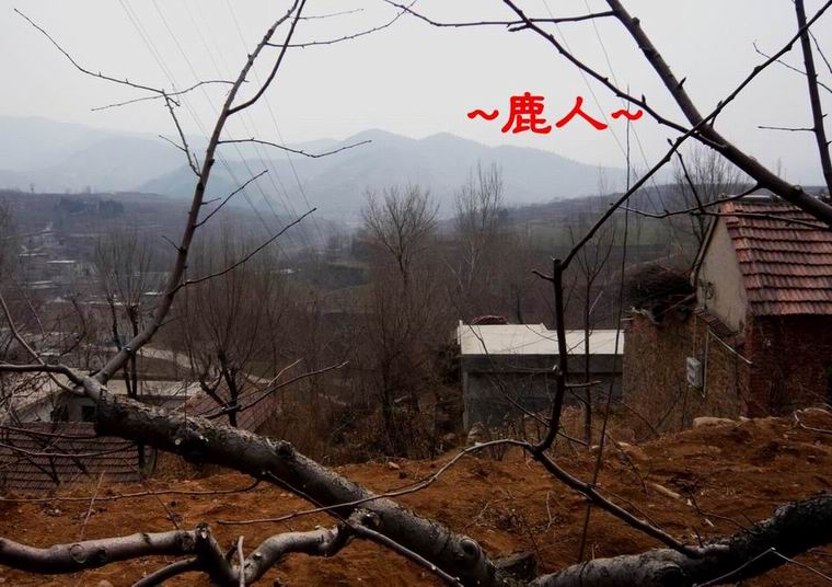 6穴下看朝堂.JPG