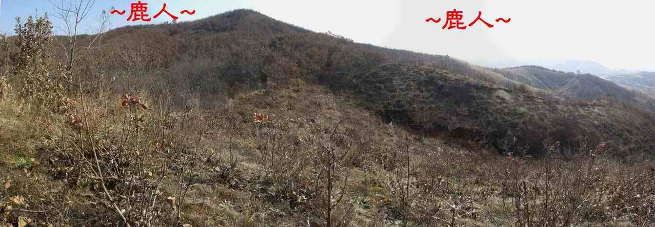 6再近一點看父母山下脈束氣照.JPG