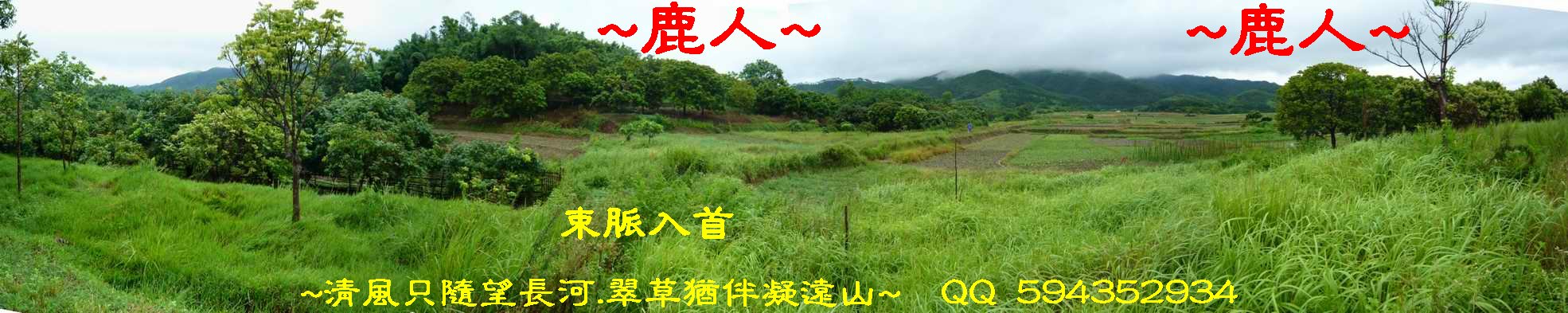 6在穴星頂後看來龍與束氣入首照.JPG