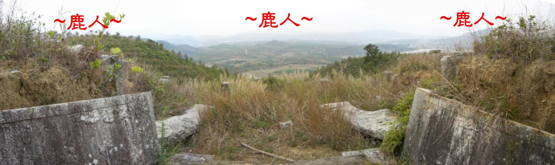 6在墓桌前看朝堂.JPG