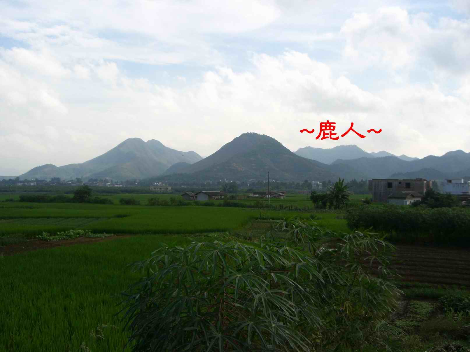 6延途看山巒4.JPG