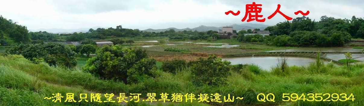 8穴前看堂局.JPG