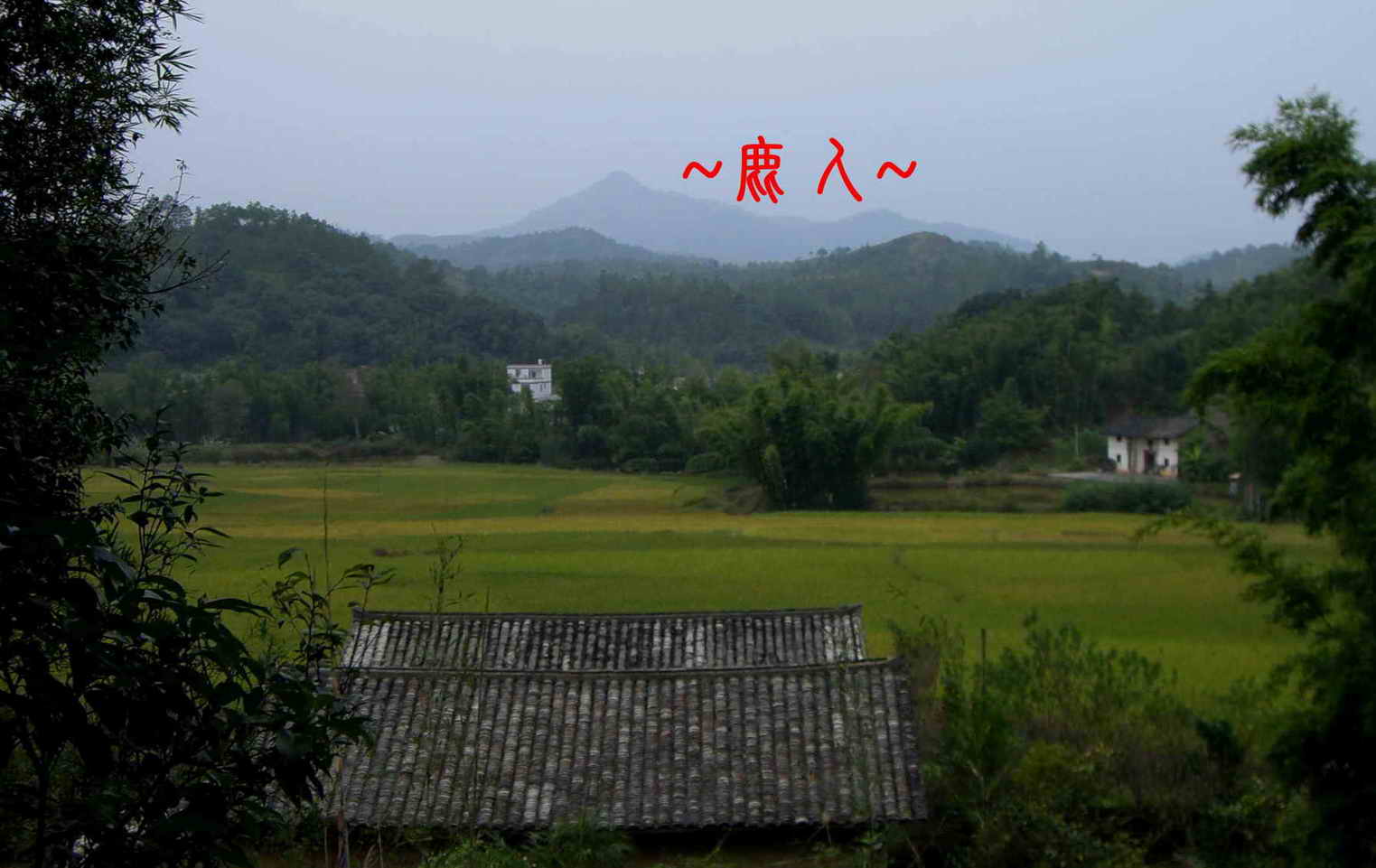 8在穴場看朝堂.JPG