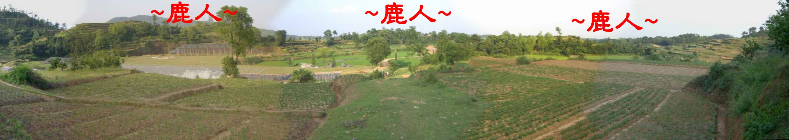 8朱權墓朝堂照.JPG