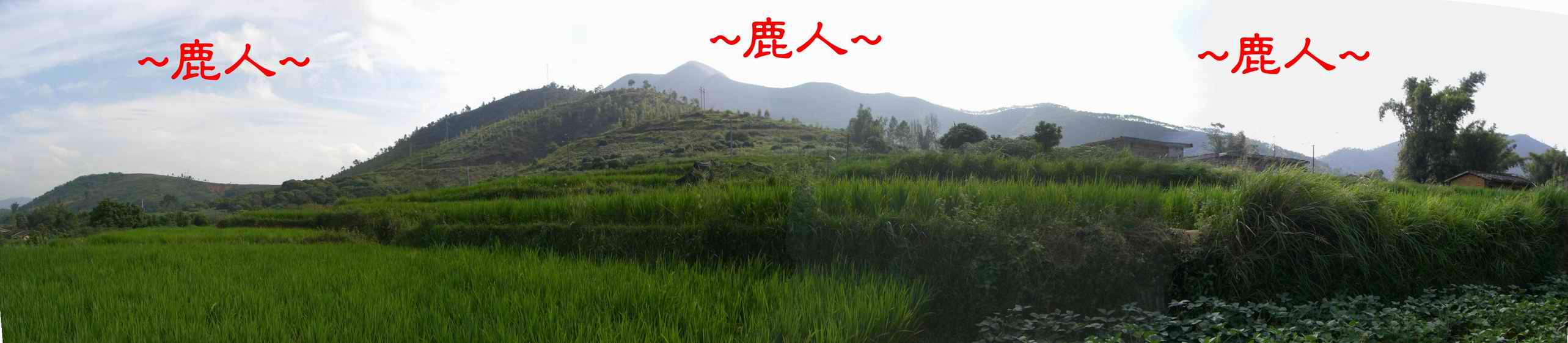8延途看山巒6.JPG