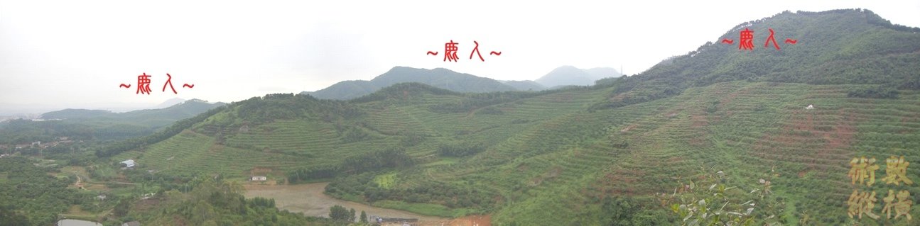 8複製 側看祖山與右帳砂全照.JPG