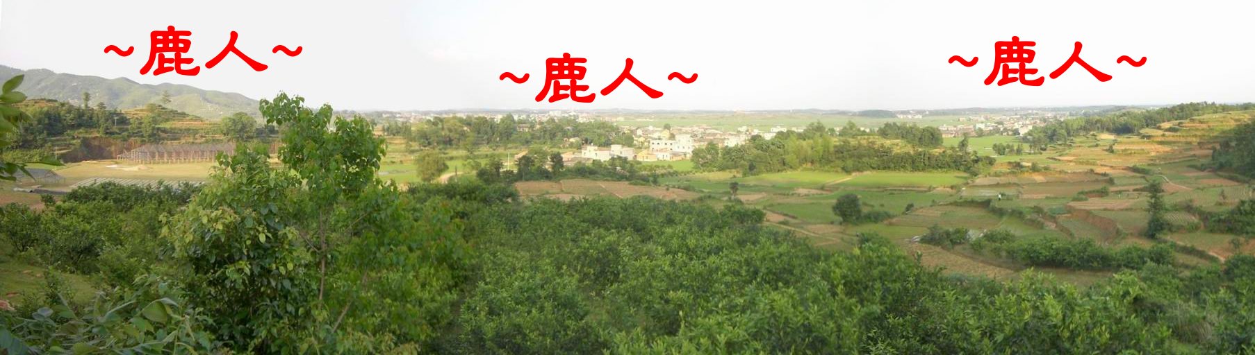 9朱權墓址之正位朝堂照.JPG