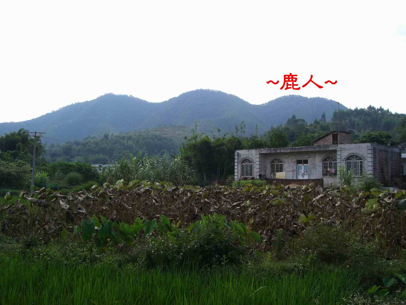 9延途看山巒7.JPG