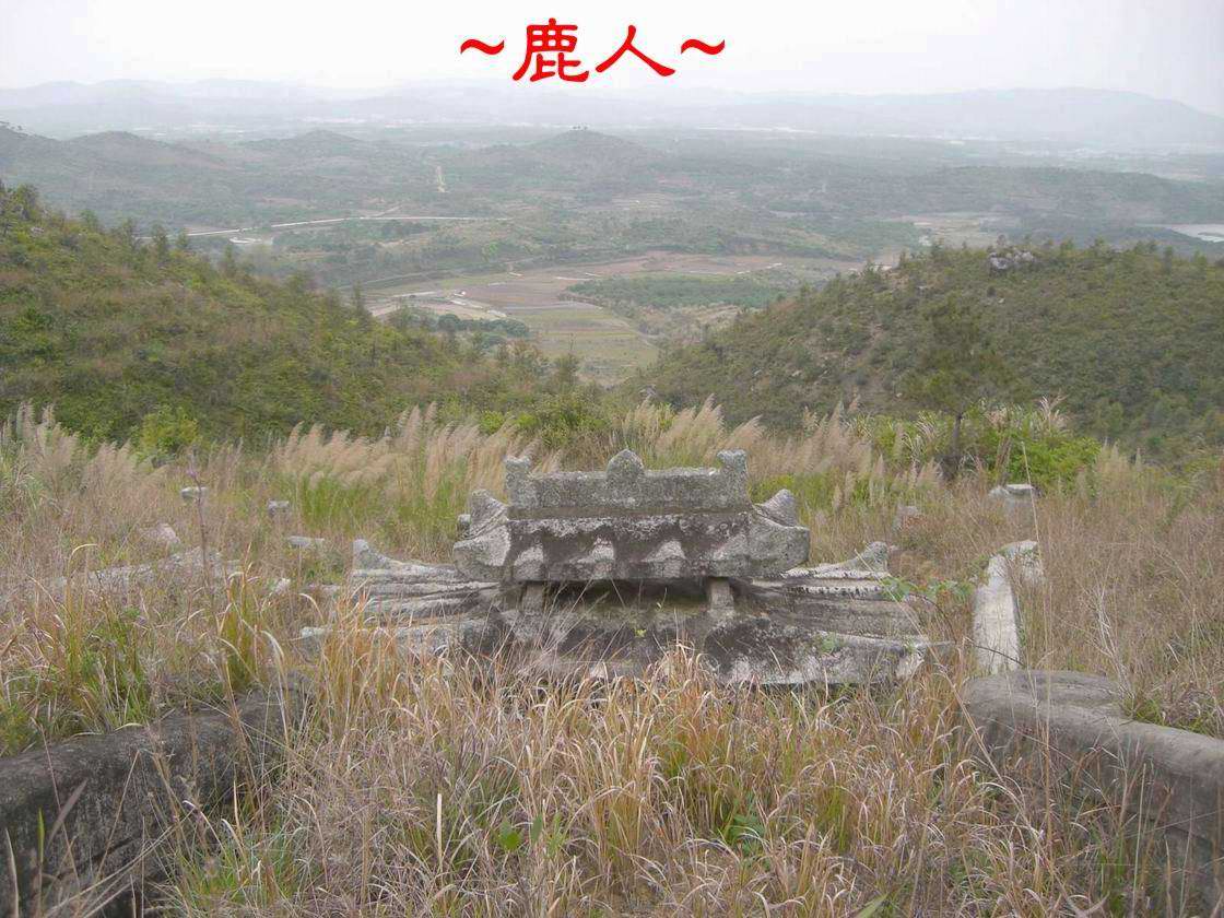 9墓上看龍虎砂與朝堂照.JPG