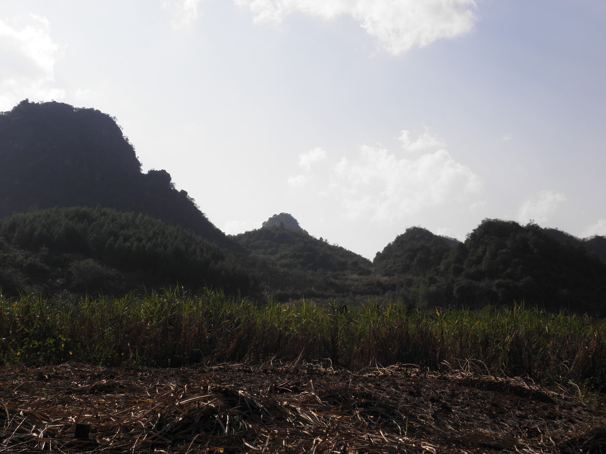 P1311666.JPG