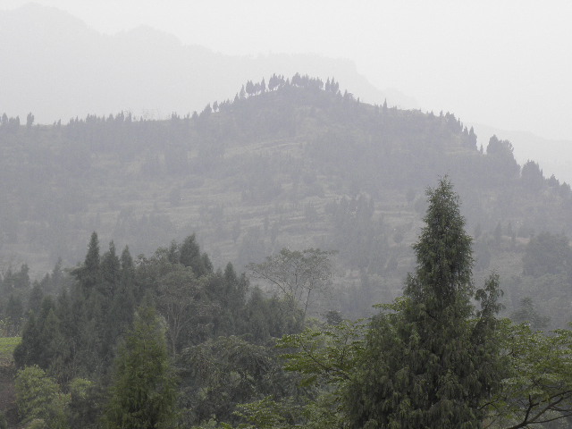 PC050078.JPG
