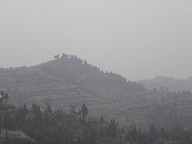 PC050092.JPG