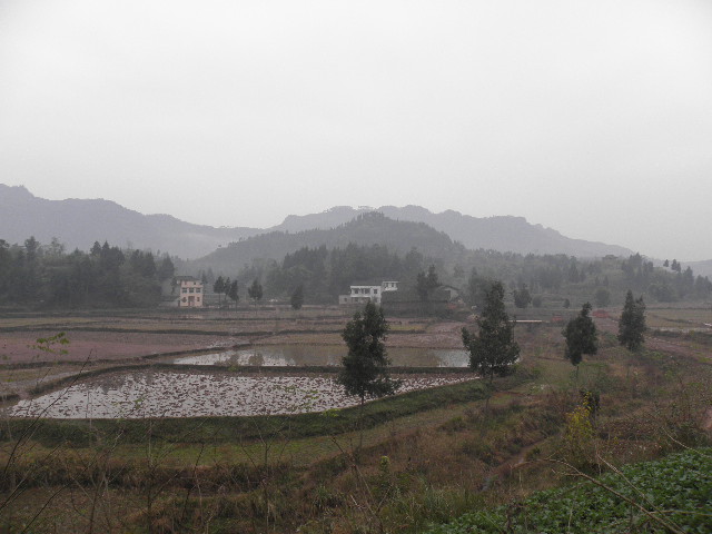 PC060114.JPG