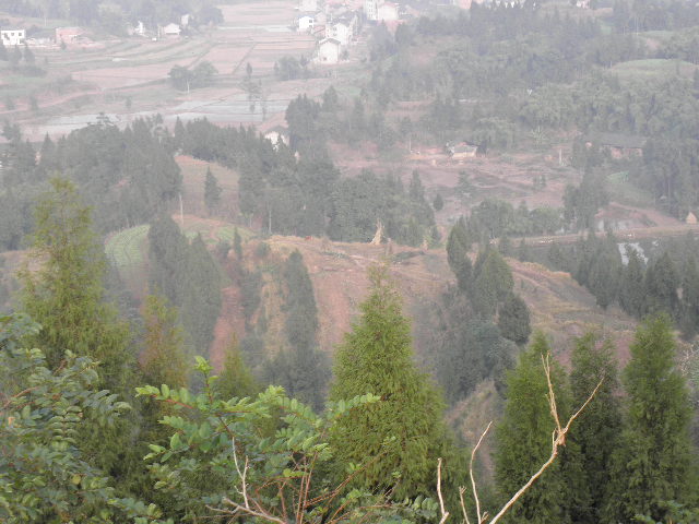 PC210118.JPG