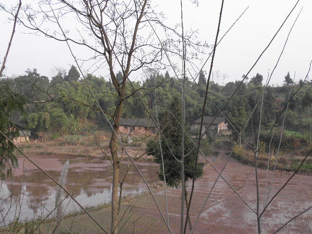 PC210121.JPG