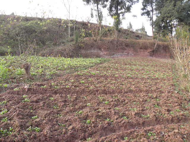PC210122.JPG
