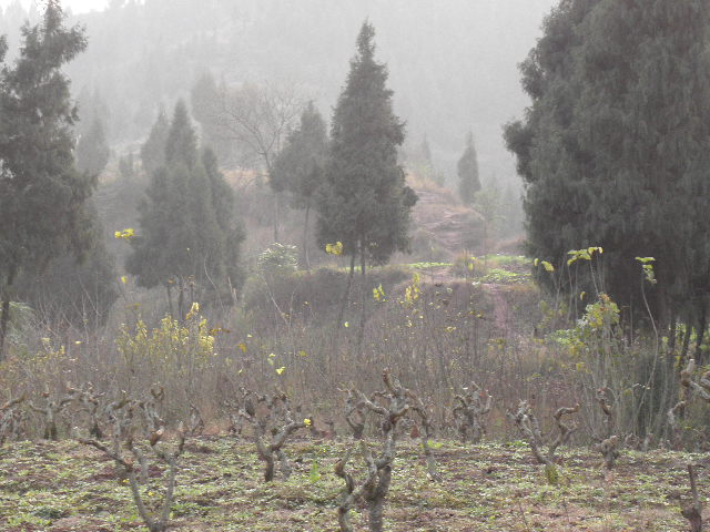 PC210123.JPG