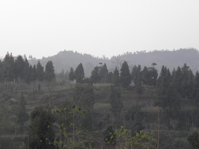 PC210124.JPG