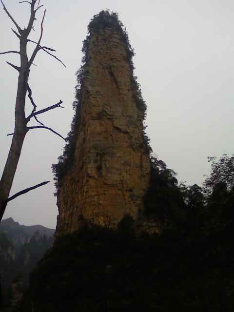 PIC-0107.jpg