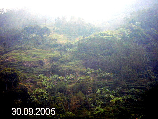 PICT1061.jpg