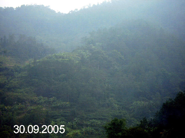 PICT1062.jpg