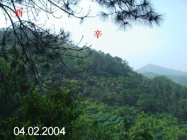 PICT1220.JPG