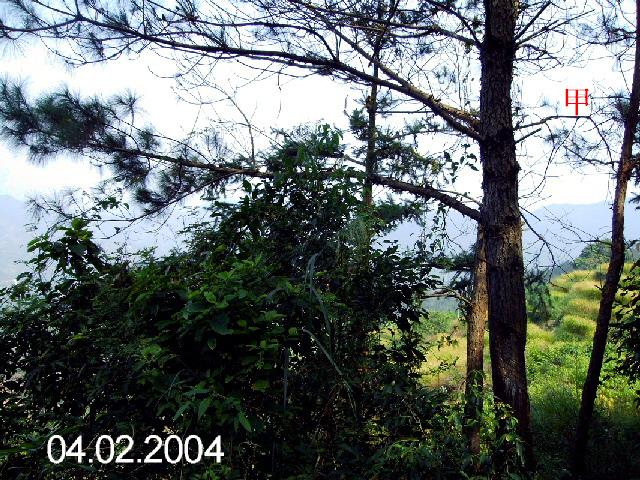 PICT1227.jpg