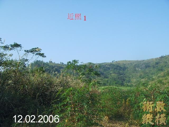 PICT2687.JPG