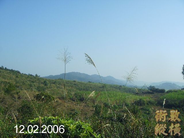 PICT2691.JPG