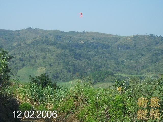 PICT2695.JPG