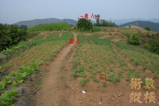 A14入首.jpg